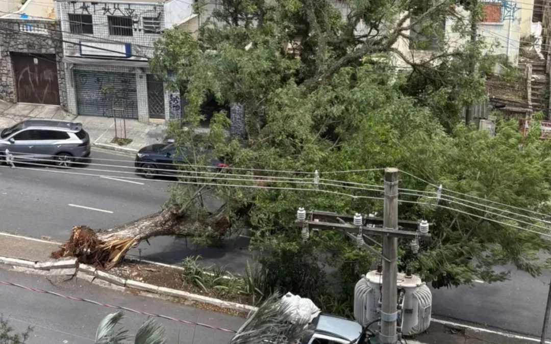 Ciclone deixa 2 milhões de clientes sem energia em São Paulo