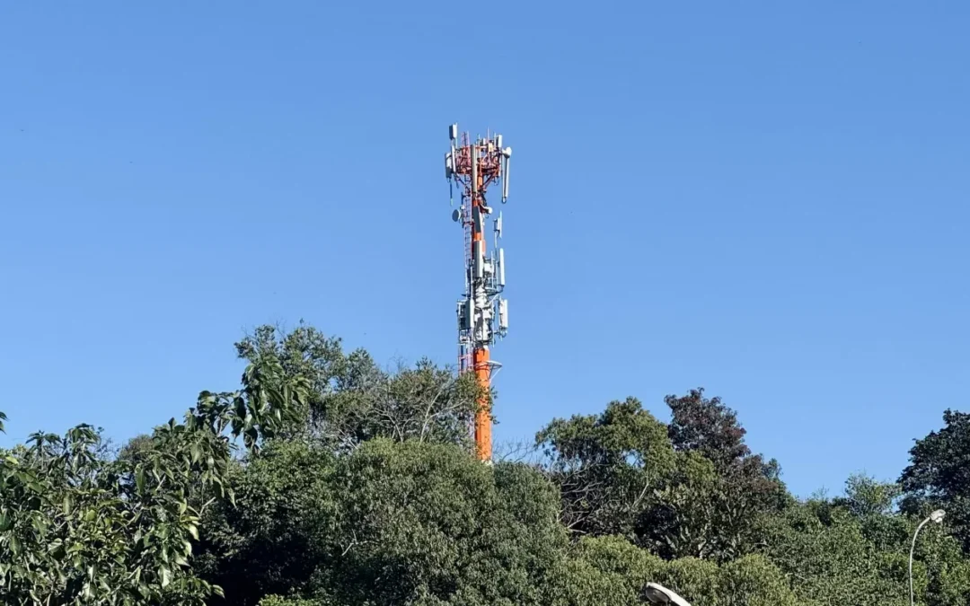 Ibama classifica operação de antena e sistema de telecom como potencialmente poluidora